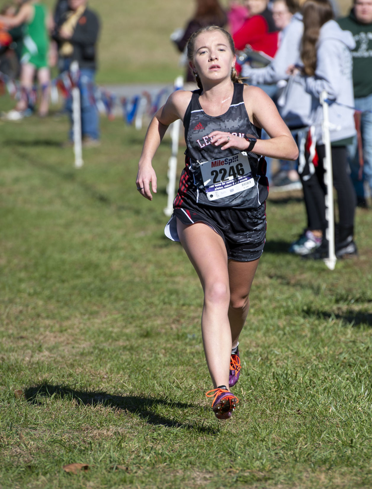 Region 2D Cross Country Championships